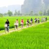 Ninh Binh Explorer Hoa Lu, Trang An & Mua Cave Day Trip (1 Day)