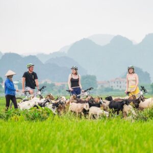 1-Day Cultural Tour Hoa Lu Ancient Capital, Trang An Boat Ride & Cycling