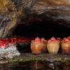 1 Day Tour Hanoi – Bai Dinh – Trang An – Mua Cave