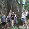 2-Day Tour from Hanoi Hoa Lu or Bai Dinh – Trang An – Mua Cave – Cuc Phuong National Park