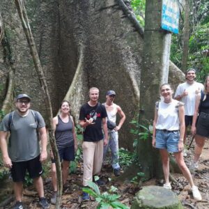 2-Day Tour from Hanoi Hoa Lu or Bai Dinh – Trang An – Mua Cave – Cuc Phuong National Park
