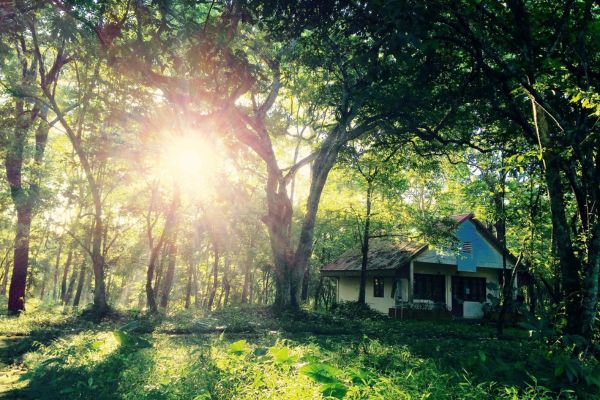 Cuc Phuong National Park