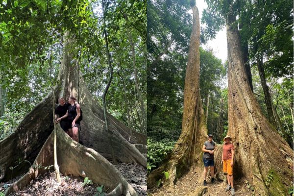 Cuc Phuong National Park
