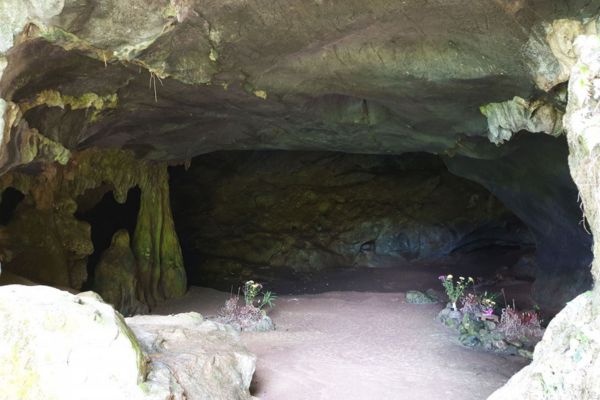 Cuc Phuong National Park