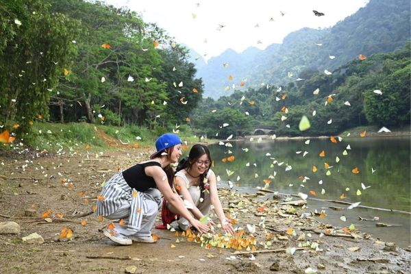 Cuc Phuong National Park