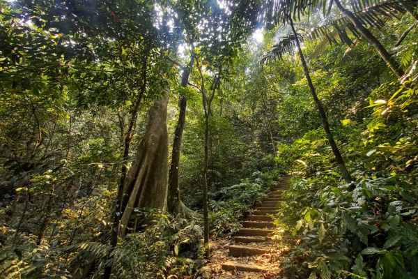 Cuc Phuong National Park