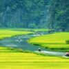 Discover the Hidden Beauty of Ninh Binh with a Unique Jeep Adventure