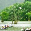 Hanoi – Hoa Lu or Bai Dinh – Cycling to Bich Dong & Thung Nham Bird Valley 1 Day Tour