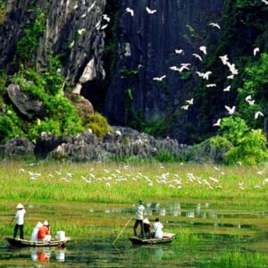 Hanoi – Hoa Lu or Bai Dinh – Cycling to Bich Dong & Thung Nham Bird Valley 1 Day Tour