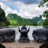 Hoa Lu or Bai Dinh – Trang An or Tam Coc – Jeep Adventure – Mua Cave 2 Day Tour from Hanoi