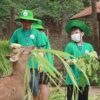 Private Cuc Phuong National Park Trekking Tour – Day Trip from Hanoi