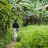 Private Cuc Phuong National Park Trekking Tour – Day Trip from Hanoi