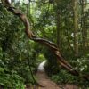 Private Cuc Phuong National Park Trekking Tour – Day Trip from Hanoi