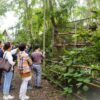 Private Cuc Phuong National Park Trekking Tour – Day Trip from Hanoi