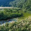 Private Tour Thung Nham Bird Garden, Hoa Lu Ancient Capital & Bich Dong Pagoda 1 Day Trip from Hanoi