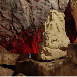 Private Tour Thung Nham Bird Garden, Hoa Lu Ancient Capital & Bich Dong Pagoda 1 Day Trip from Hanoi