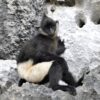 Van Long Nature Reserve & Cuc Phuong National Park – Private Day Trip