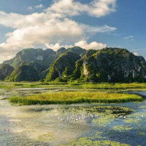 Van Long Nature Reserve & Cuc Phuong National Park – Private Day Trip