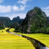 Van Long Nature Reserve & Cuc Phuong National Park – Private Day Trip