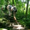 Van Long Nature Reserve & Cuc Phuong National Park – Private Day Trip