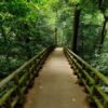 Van Long Nature Reserve & Cuc Phuong National Park – Private Day Trip