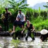 Buffalo Cave Rural Experience – Buffalo Bathing, Rice Farming and Traditional Cooking in Vietnam