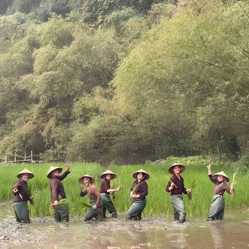 Buffalo Cave Rural Experience Buffalo Bathing, Rice Farming and Traditional Cooking in Vietnam (4) Buffalo Cave Rural Experience – Buffalo Bathing, Rice Farming and Traditional Cooking in Vietnam