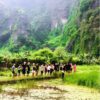 Buffalo Cave Rural Experience – Buffalo Bathing, Rice Farming and Traditional Cooking in Vietnam