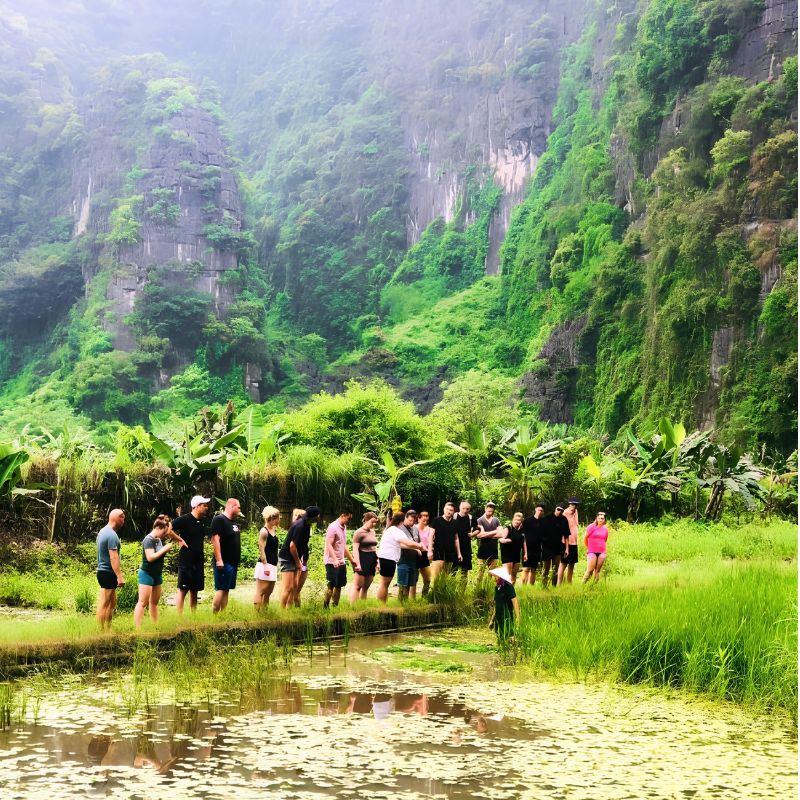 Buffalo Cave Rural Experience Buffalo Bathing, Rice Farming and Traditional Cooking in Vietnam (6) Buffalo Cave Rural Experience – Buffalo Bathing, Rice Farming and Traditional Cooking in Vietnam