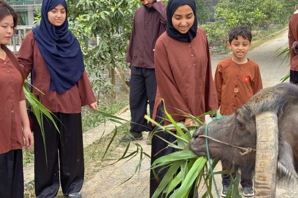 Buffalo Cave Rural Experience – Buffalo Bathing, Rice Farming and Traditional Cooking in Vietnam