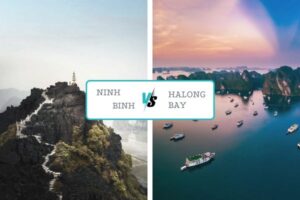 Ninh Binh vs Halong Bay
