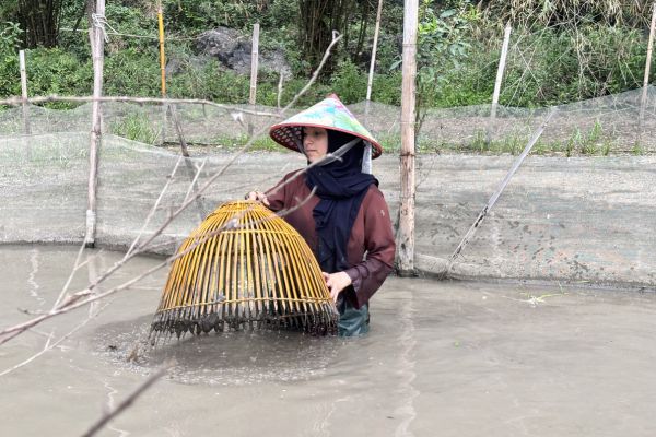 Ninh Binh vs Halong Bay