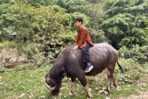 What to Do in Ninh Binh