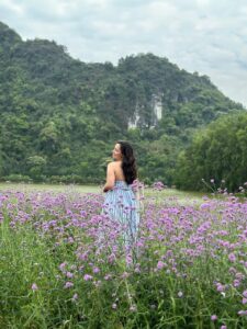 ninh binh tours