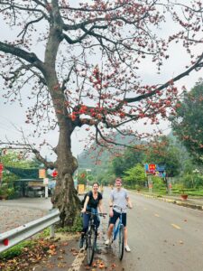 ninh binh tours
