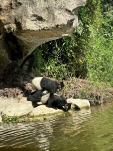 ninh binh tours