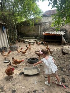 ninh binh tours