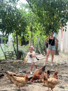 ninh binh tours