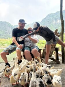 ninh binh tours