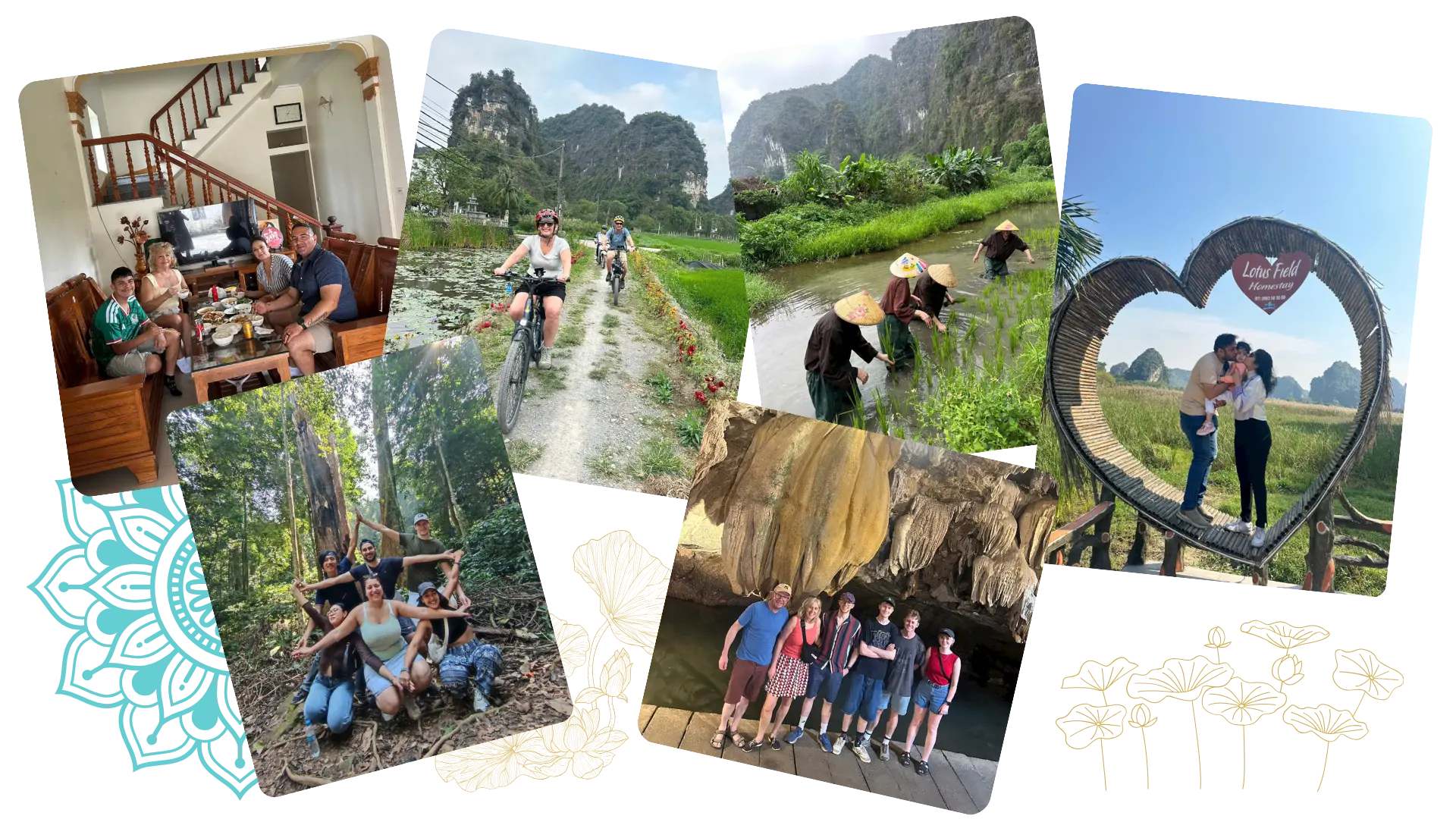 ninh binh tours