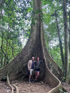 ninh binh tours