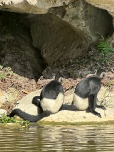 ninh binh tours